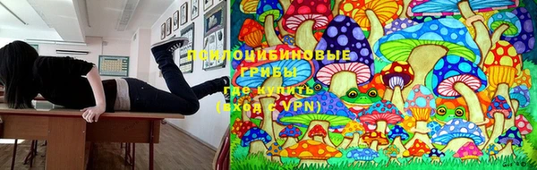 мескалин Алексеевка